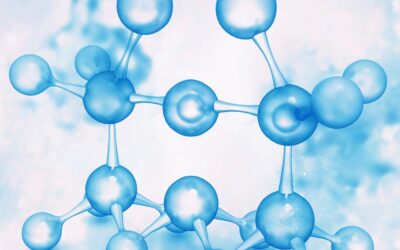 The Science Behind V.supple®: How Nature and Research Work Together